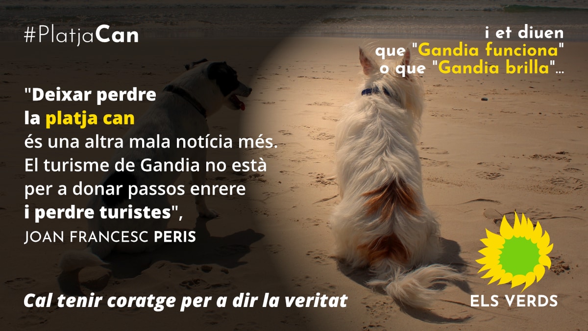 Els Verds valoren molt negativament per a l'oferta turística de Gandia la desaparició de la platja can