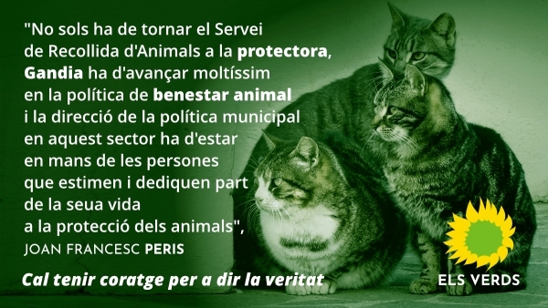Joan Francesc Peris, candidat a l'alcaldia per Els Verds anuncia que la recollida d'animals abandonats a Gandia tornarà a ser responsabilitat de les protectores
